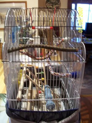 cage1.jpg