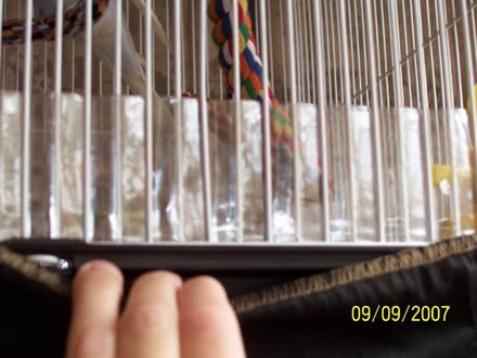 plastic2.jpg