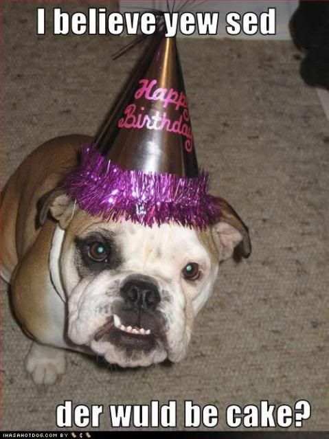 happy birthday funny dog. happy birthday funny dog.