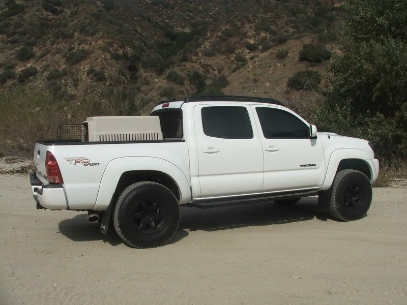 toyota tacoma front window tint #7