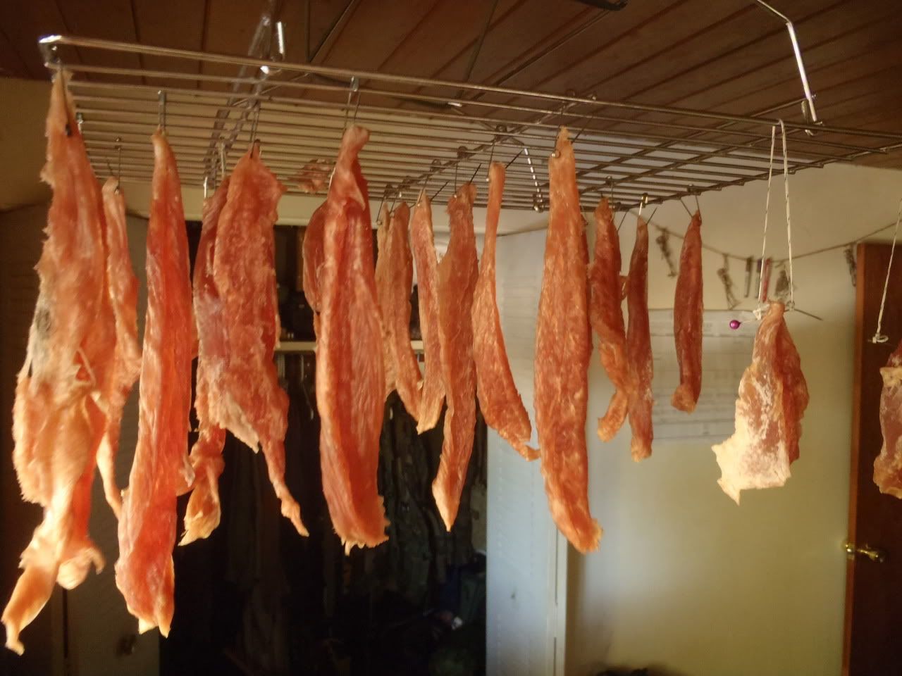 Where do you store deer meat in the forest? Survivalist Forum