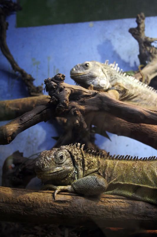 IMAGE: http://i7.photobucket.com/albums/y258/waxme/lololol1small.jpg