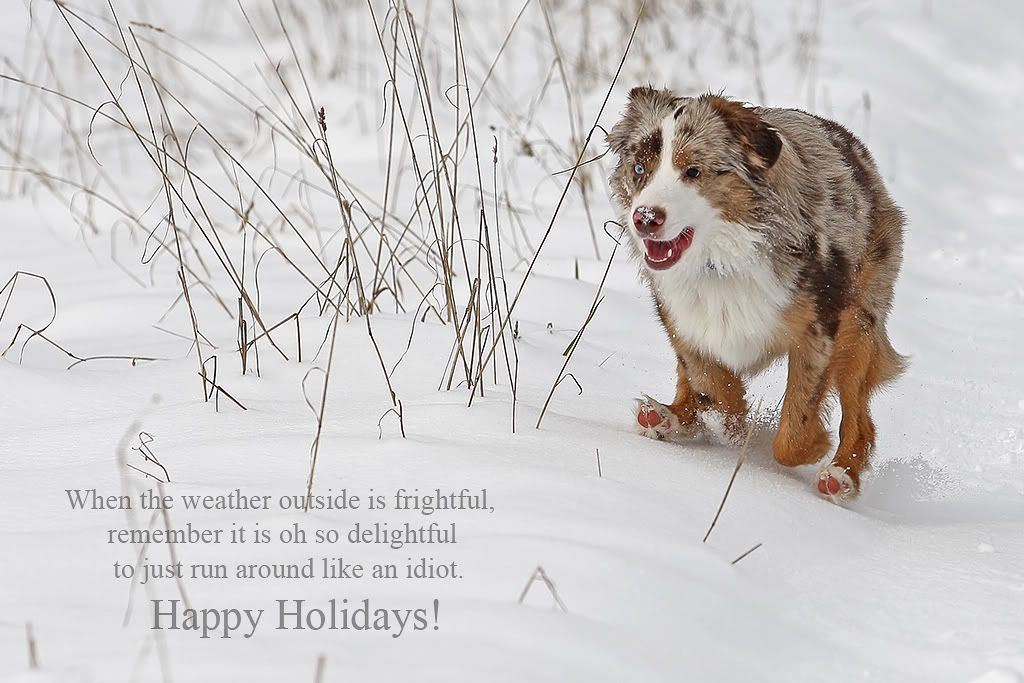 IMAGE: http://i7.photobucket.com/albums/y259/Bradklr/coopercard.jpg