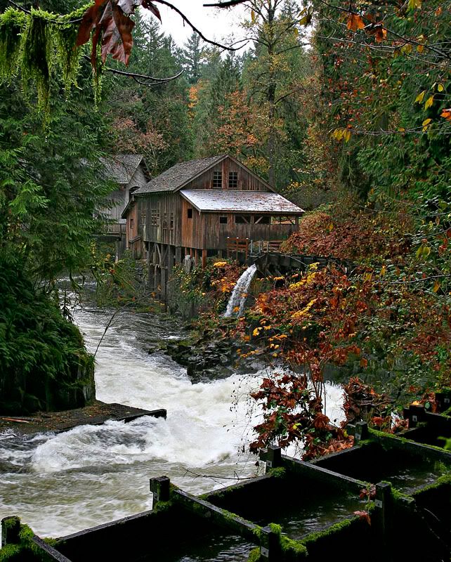 IMAGE: http://i7.photobucket.com/albums/y259/Bradklr/millrearview.jpg