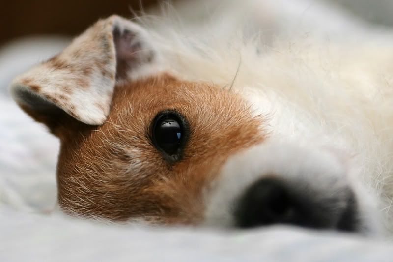 IMAGE: http://i7.photobucket.com/albums/y259/Bradklr/newtnewlens.jpg