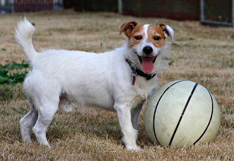 IMAGE: http://i7.photobucket.com/albums/y259/Bradklr/newton10.jpg