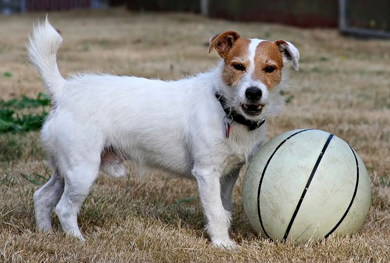 IMAGE: http://i7.photobucket.com/albums/y259/Bradklr/newton9.jpg