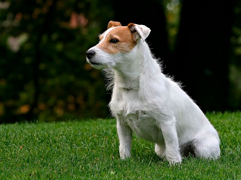 IMAGE: http://i7.photobucket.com/albums/y259/Bradklr/newtonnoble.jpg