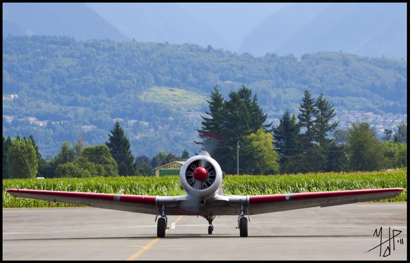 IMAGE: http://i7.photobucket.com/albums/y259/Pharoh/2011%20Chilliwack%20Flight%20Fest/HarvardPussycat2Front_s.jpg