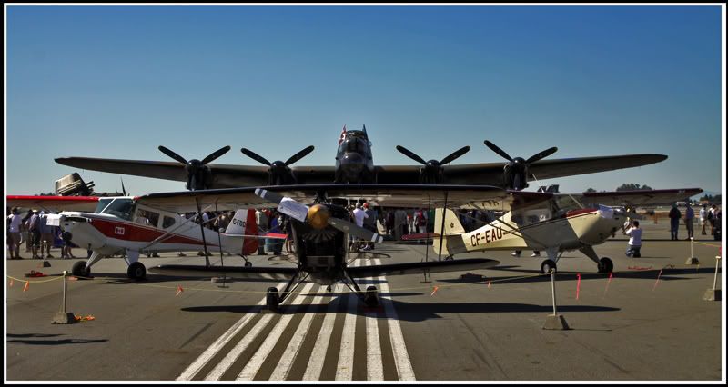 IMAGE: http://i7.photobucket.com/albums/y259/Pharoh/Abbotsford%202010/IMG_7755s.jpg