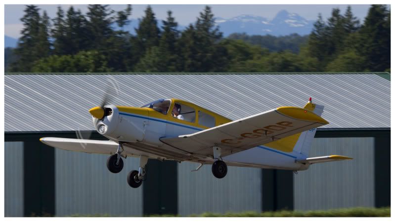 IMAGE: http://i7.photobucket.com/albums/y259/Pharoh/IMG_2037E.jpg