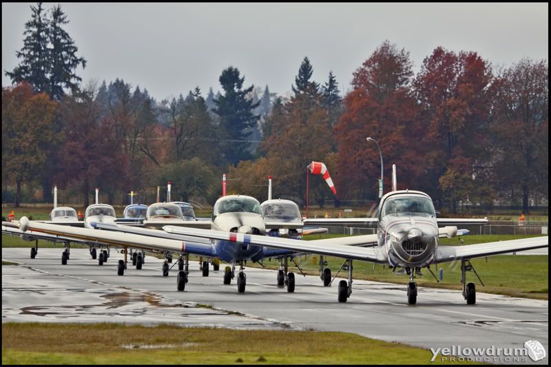 IMAGE: http://i7.photobucket.com/albums/y259/Pharoh/IMG_3309_s.jpg