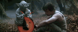 http://i7.photobucket.com/albums/y259/Precisemoon/yodabounce9kh.gif