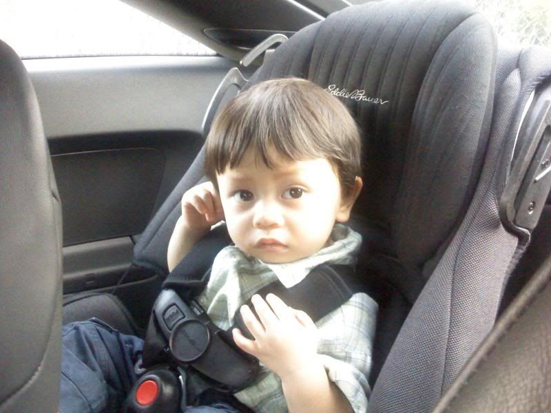 audi tt baby seat
