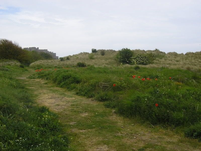 bamburgh2008005.jpg