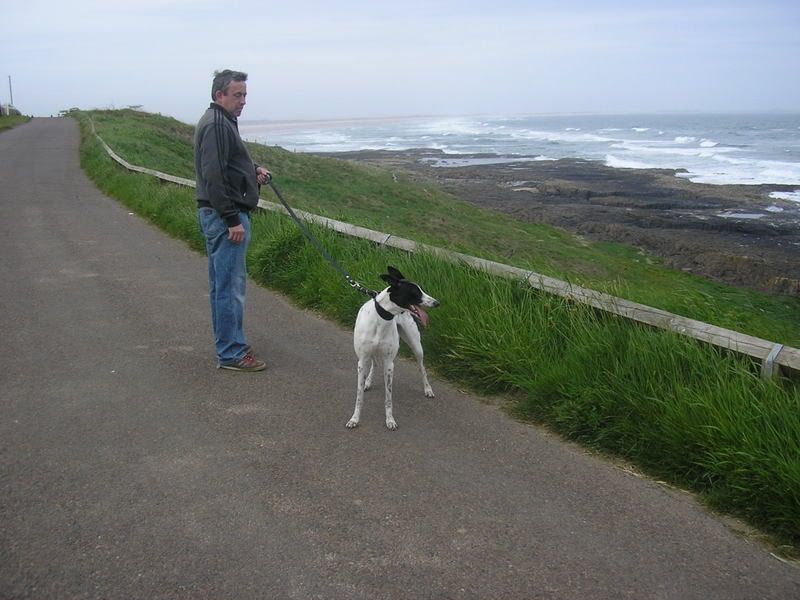 bamburgh2008028.jpg