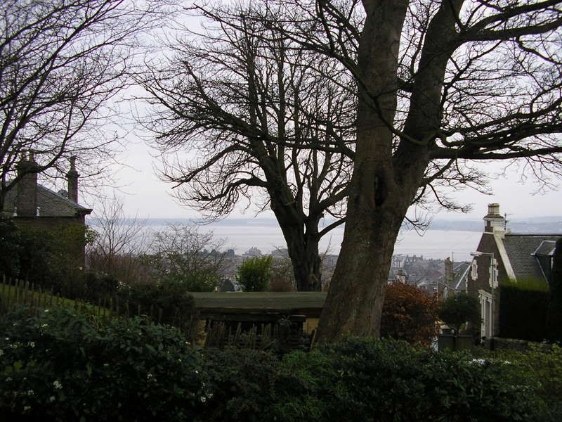 Splash & dash Detailing World Forum