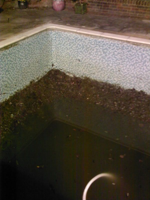 A swimming pool Clean and New Plant install in Feldon Herts.