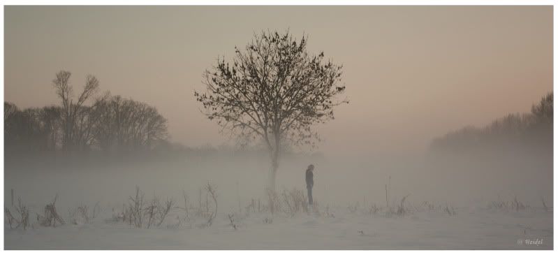 Fotografie