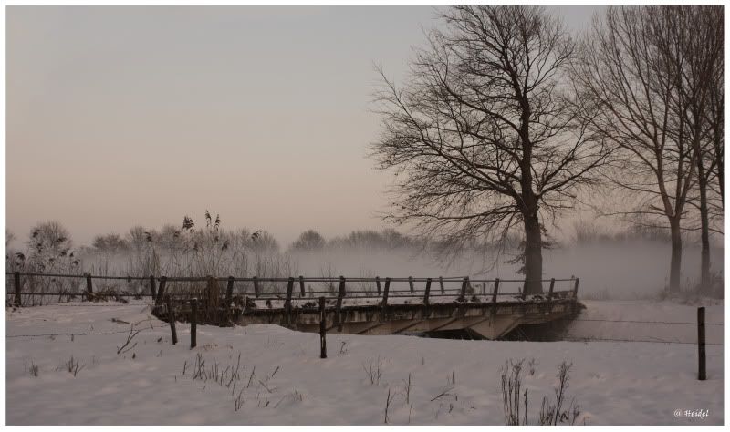 Fotografie