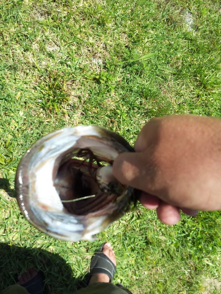 Posted Image