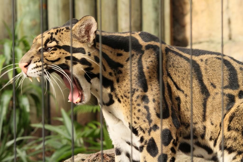 IMAGE: http://i7.photobucket.com/albums/y260/markh852004/IMG_1519.jpg