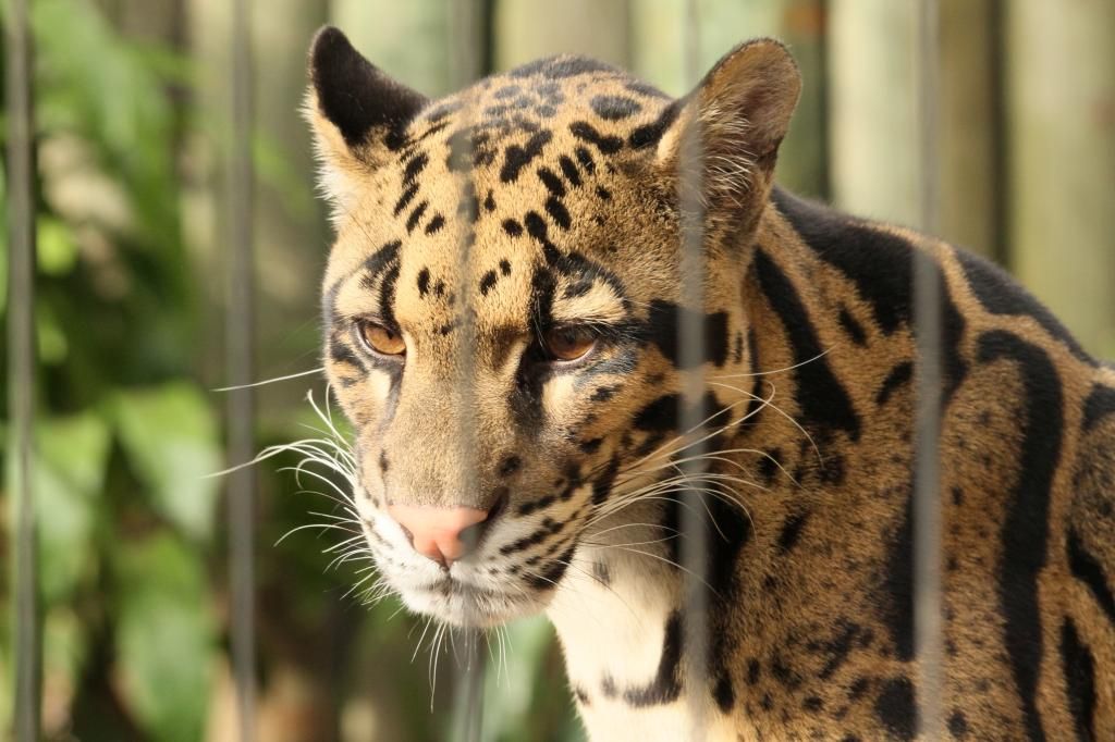 IMAGE: http://i7.photobucket.com/albums/y260/markh852004/IMG_1520.jpg