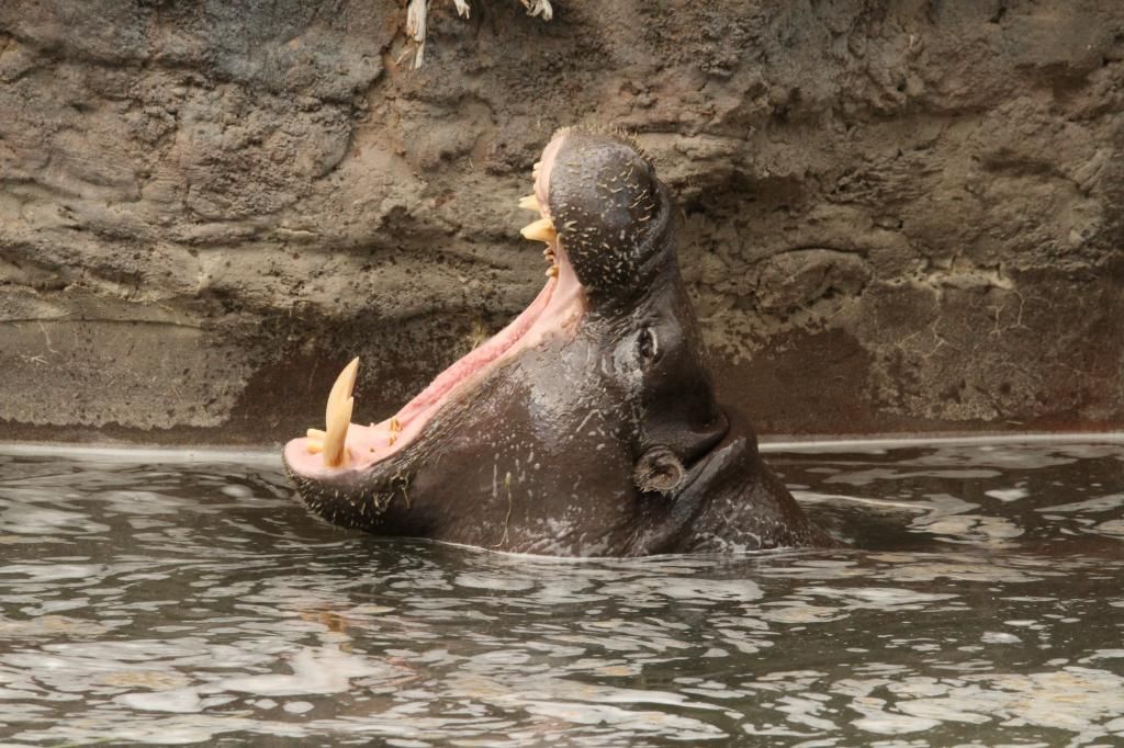 IMAGE: http://i7.photobucket.com/albums/y260/markh852004/IMG_1575.jpg