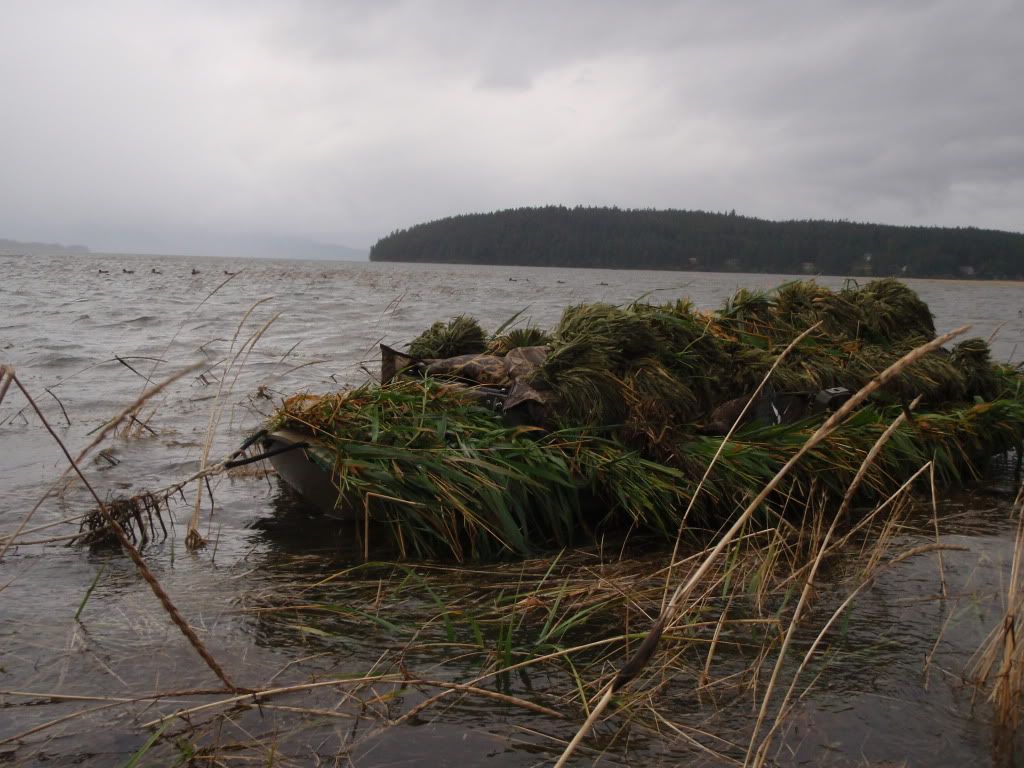 Alaska Outfitter Boats submited images | Pic2Fly