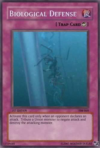 biodefense069.jpg