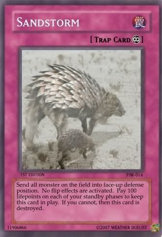 sandstorm.jpg