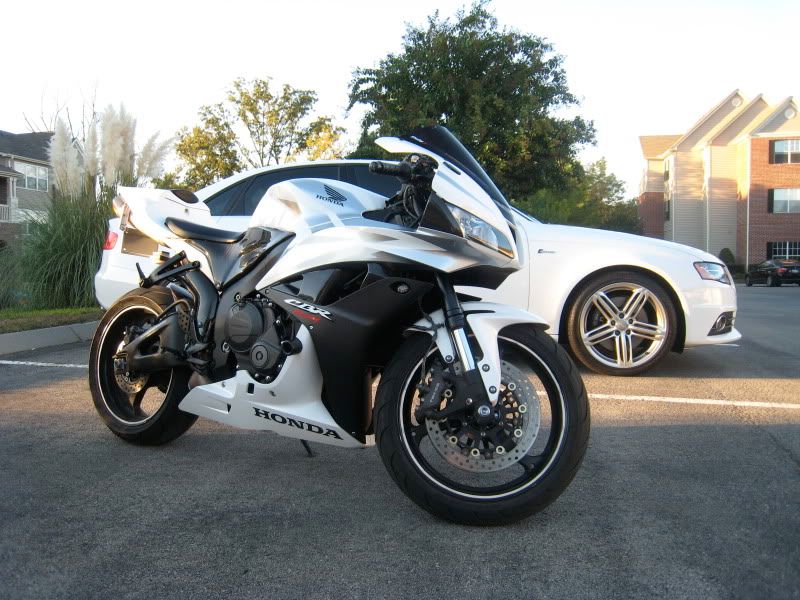 Honda 600Rr White