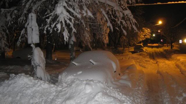 SnowatNight024.jpg