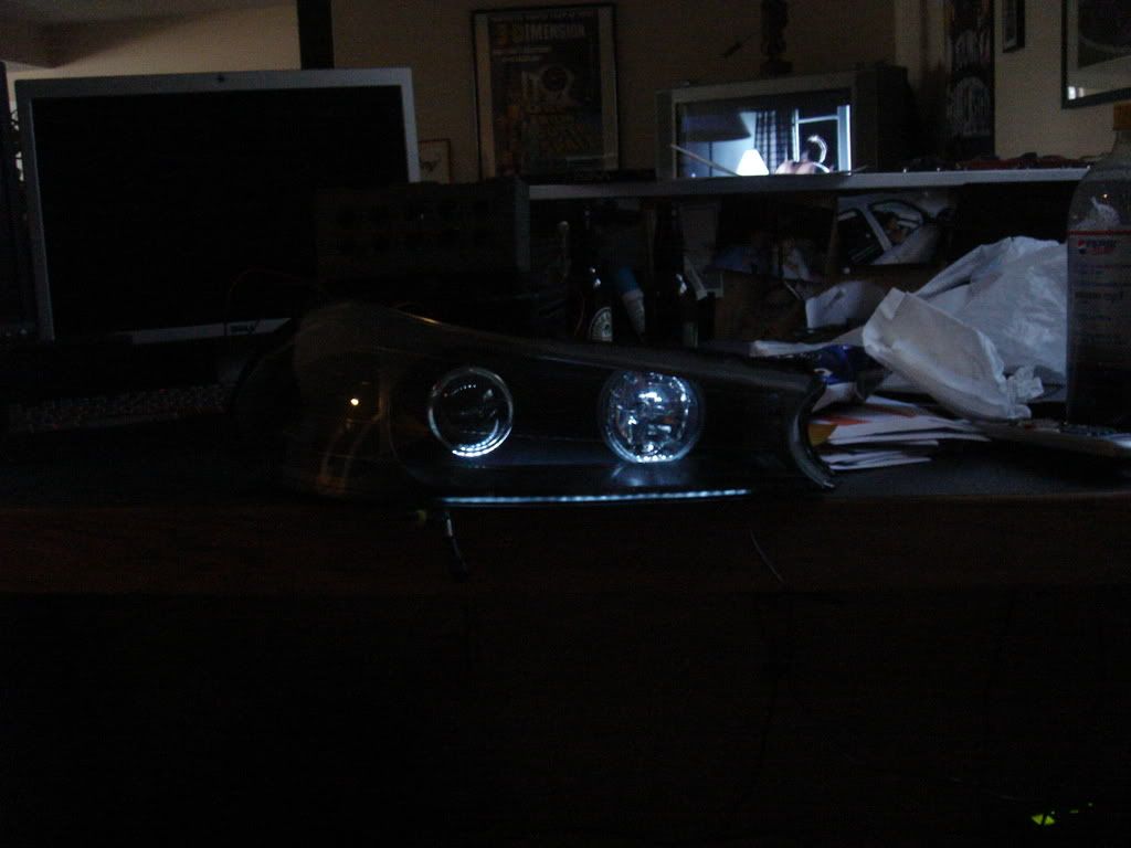 DSC01960.jpg