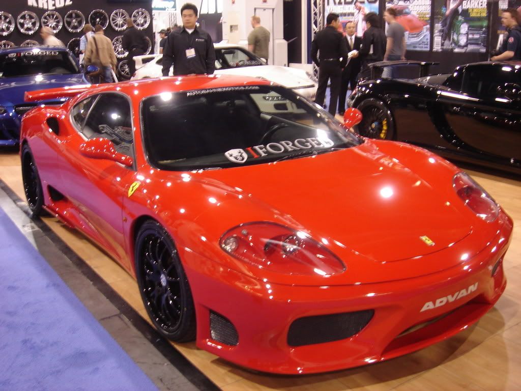 DSC01627.jpg