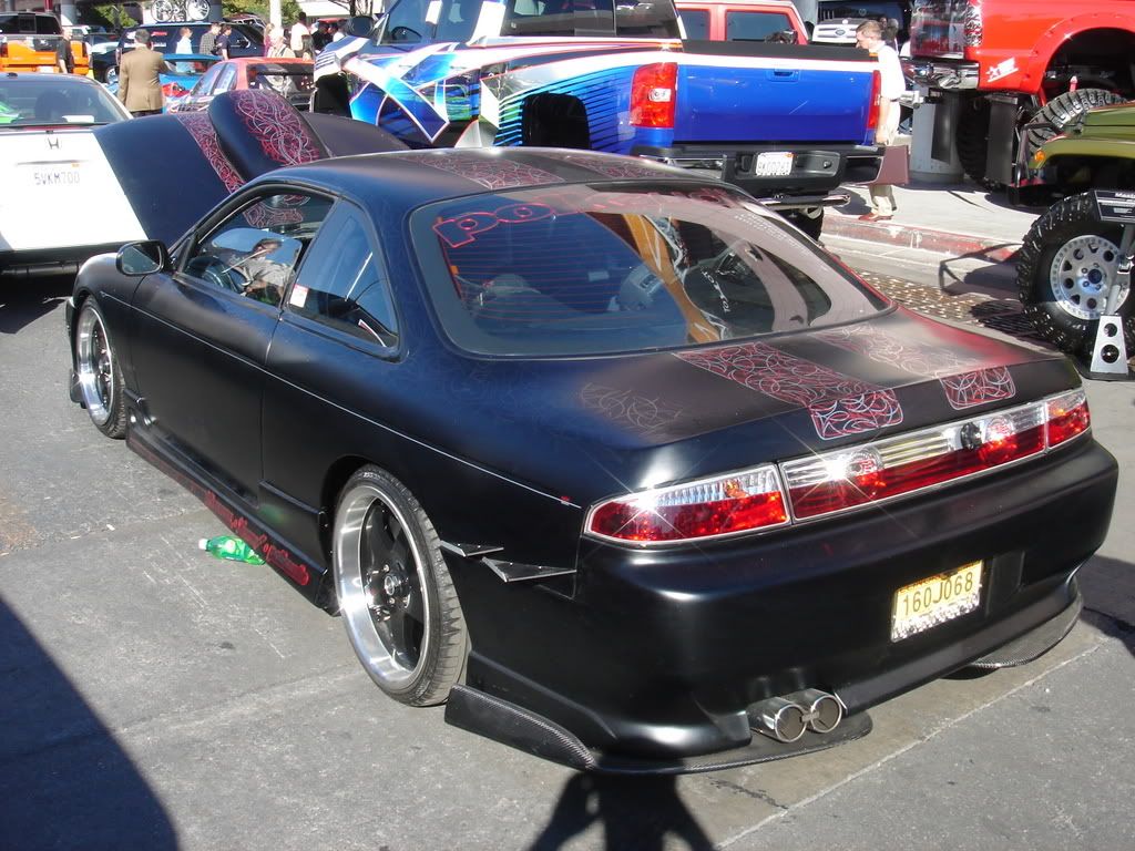 DSC01761.jpg