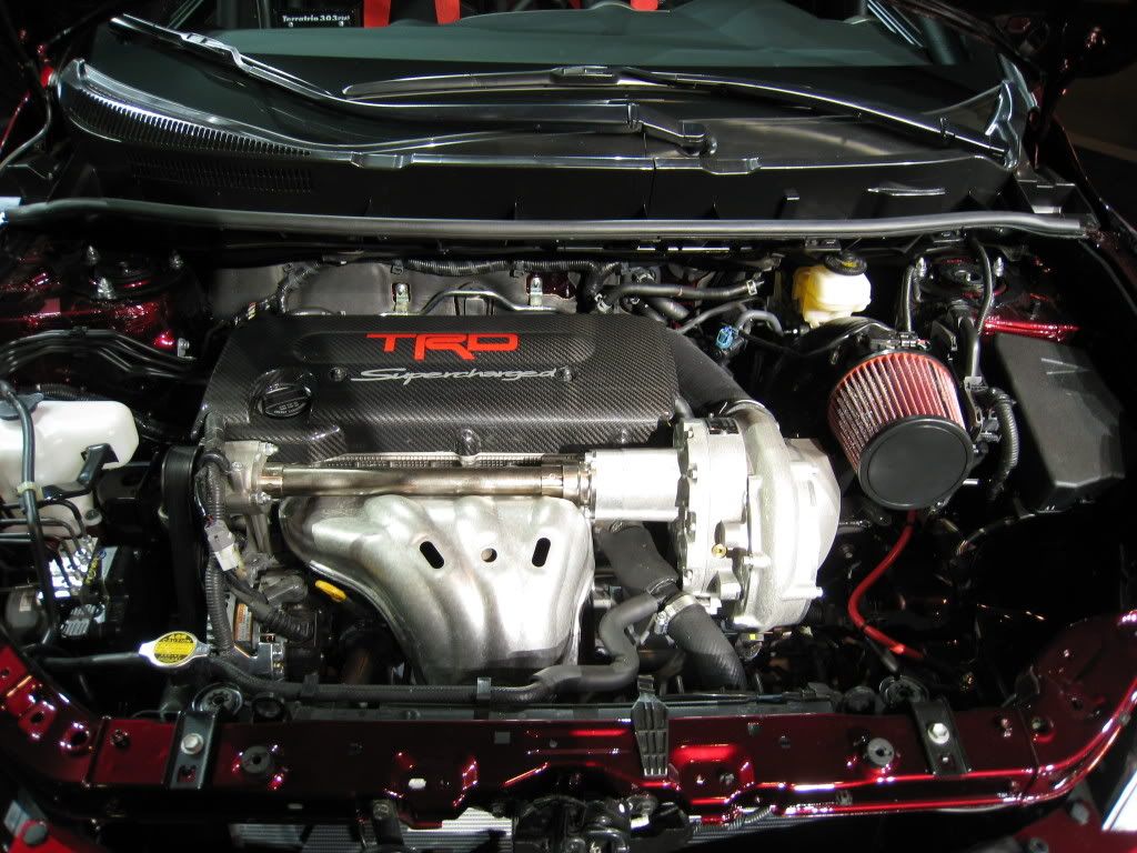 IMG_0839.jpg