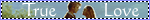 Image hosting by Photobucket