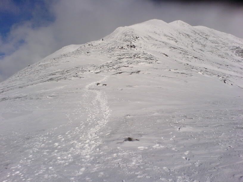 DSC00080.jpg