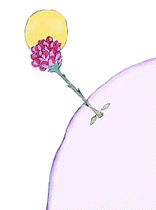 The Little Prince's rose Pictures, Images and Photos