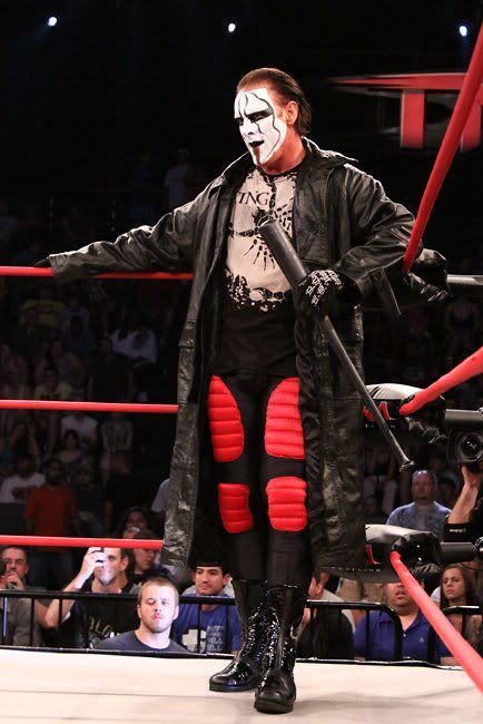 Wrestler Sting