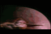 Avatar Avatar
