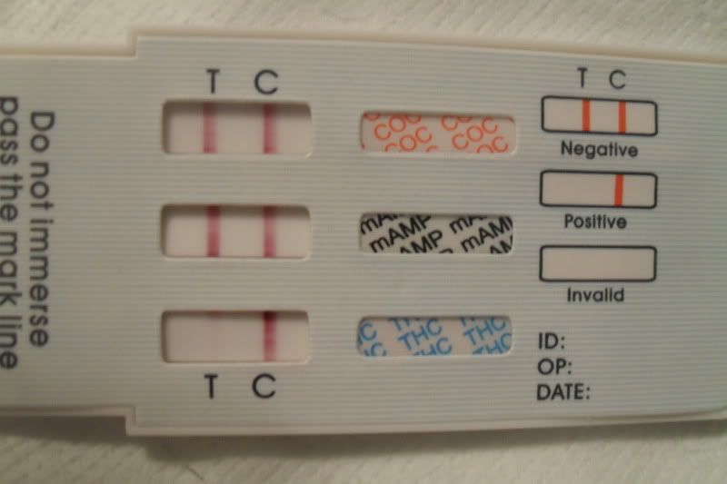 Wanted to make sure I have this right Marijuana Forums