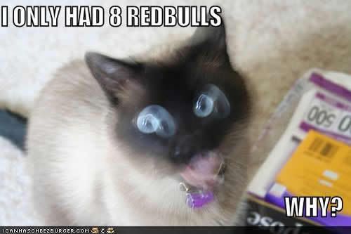funny-pictures-redbulls-cat.jpg