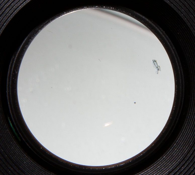 IMAGE: http://i7.photobucket.com/albums/y266/RockinVixen89/fungus.jpg