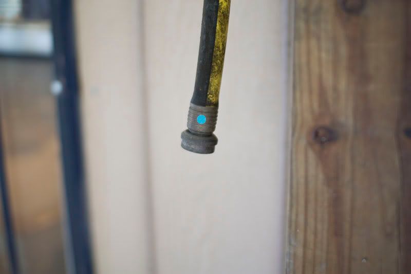 IMAGE: http://i7.photobucket.com/albums/y266/RockinVixen89/test5-3.jpg