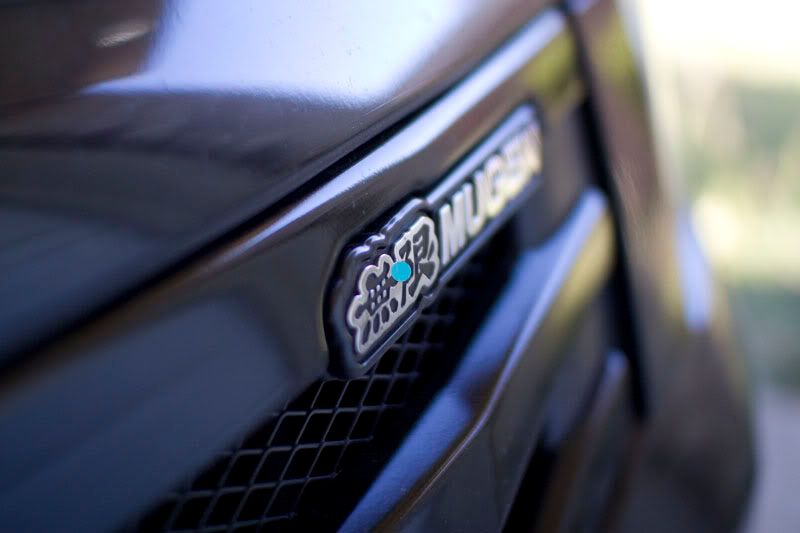 IMAGE: http://i7.photobucket.com/albums/y266/RockinVixen89/test6-2.jpg