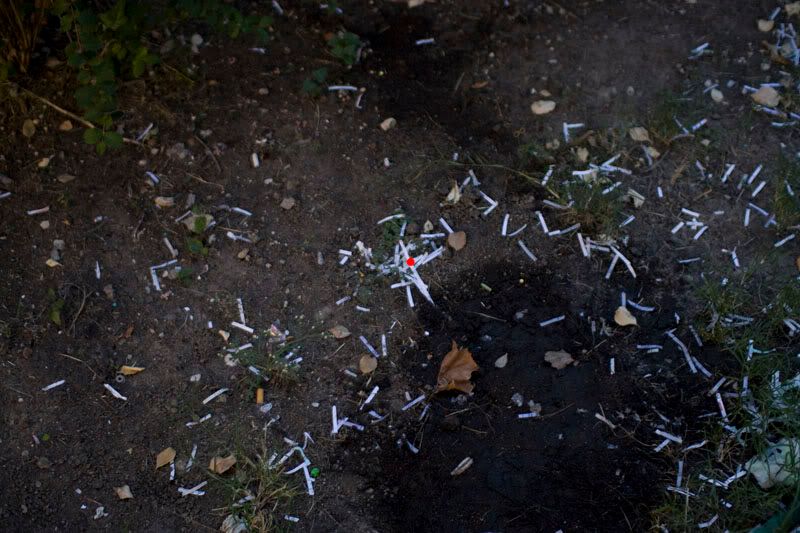 IMAGE: http://i7.photobucket.com/albums/y266/RockinVixen89/test7.jpg