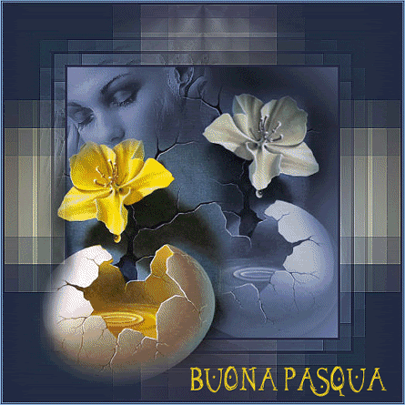 Buona Pasqua 2006 Pictures, Images and Photos