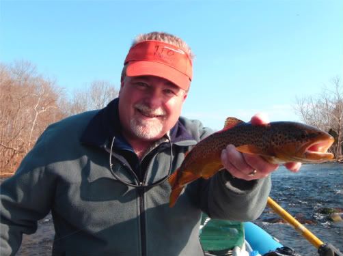 dry fly browns
